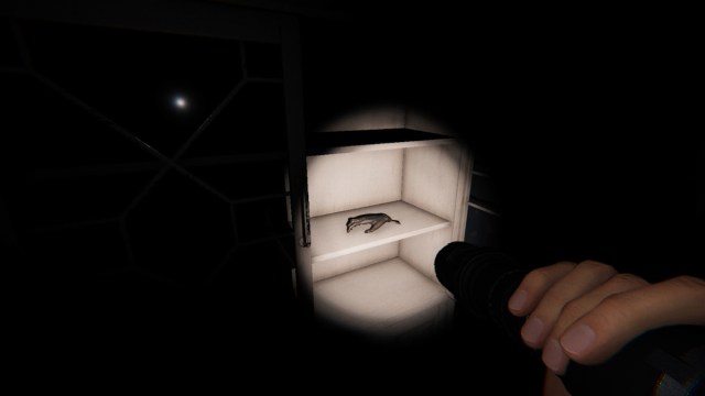 The player shining a flashlight on a Monkey Paw sitting in a cabinet in Phasmophobia.