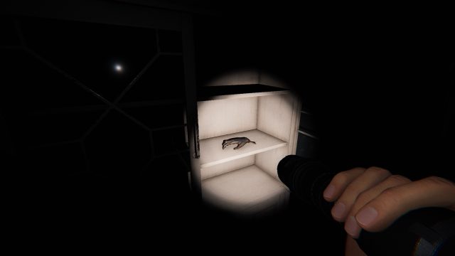 The player shining a flashlight on a Monkey Paw sitting in a cabinet. 