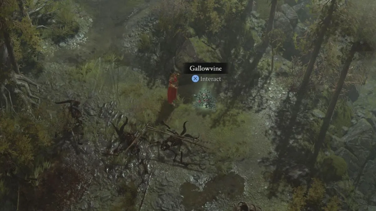 Woman standing next to a glowing Gallowvine plant in Diablo 4