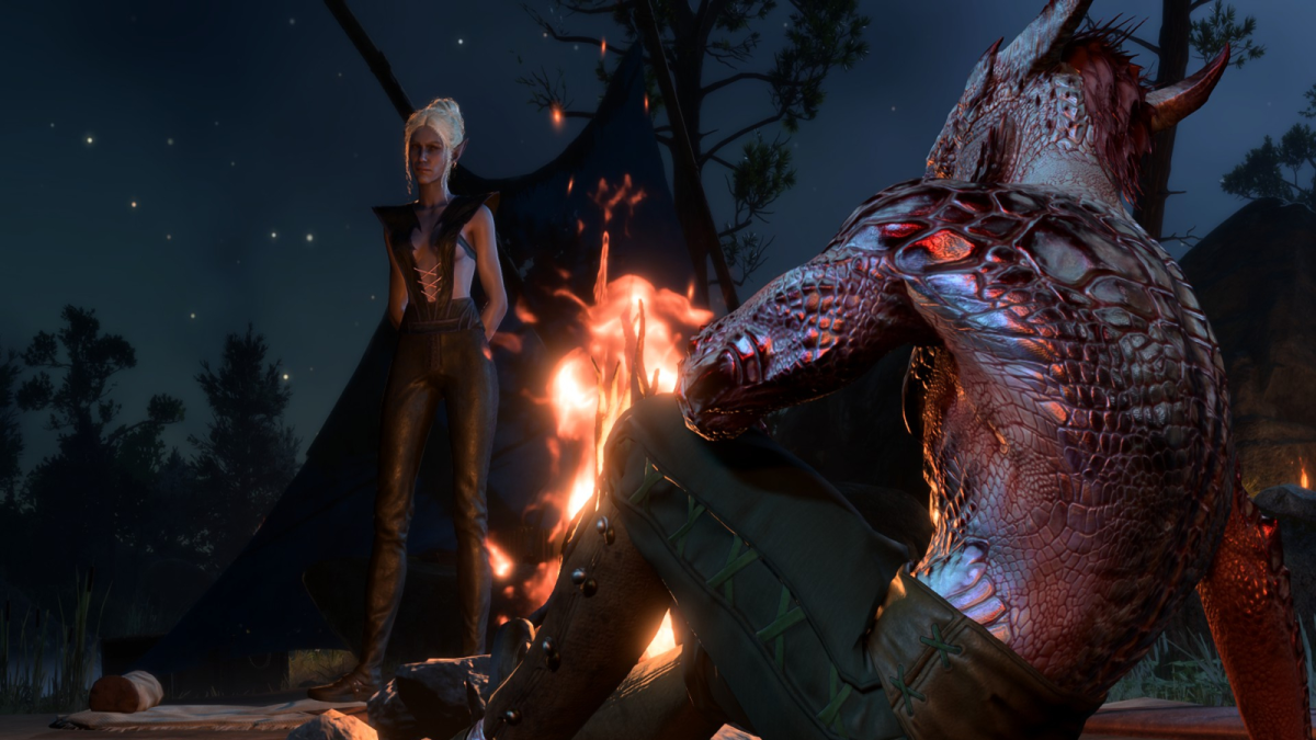 Minthara the Drow stands opposite a sitting Dragonborn character, with a fire separating them.