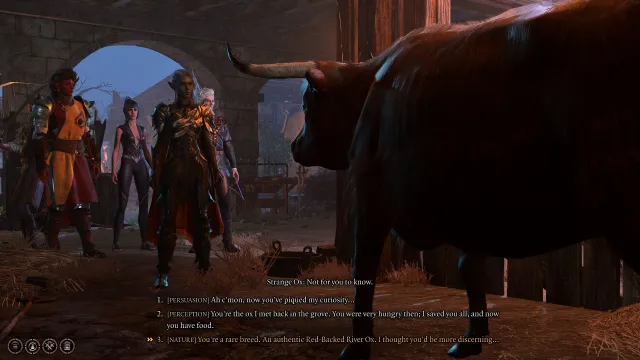 Baldur's Gate 3 party speaking to an ox, dialogue options are on screen