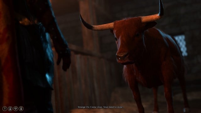 An Ox in Baldur's Gate 3 saying 'Come close. Your mind to mine'
