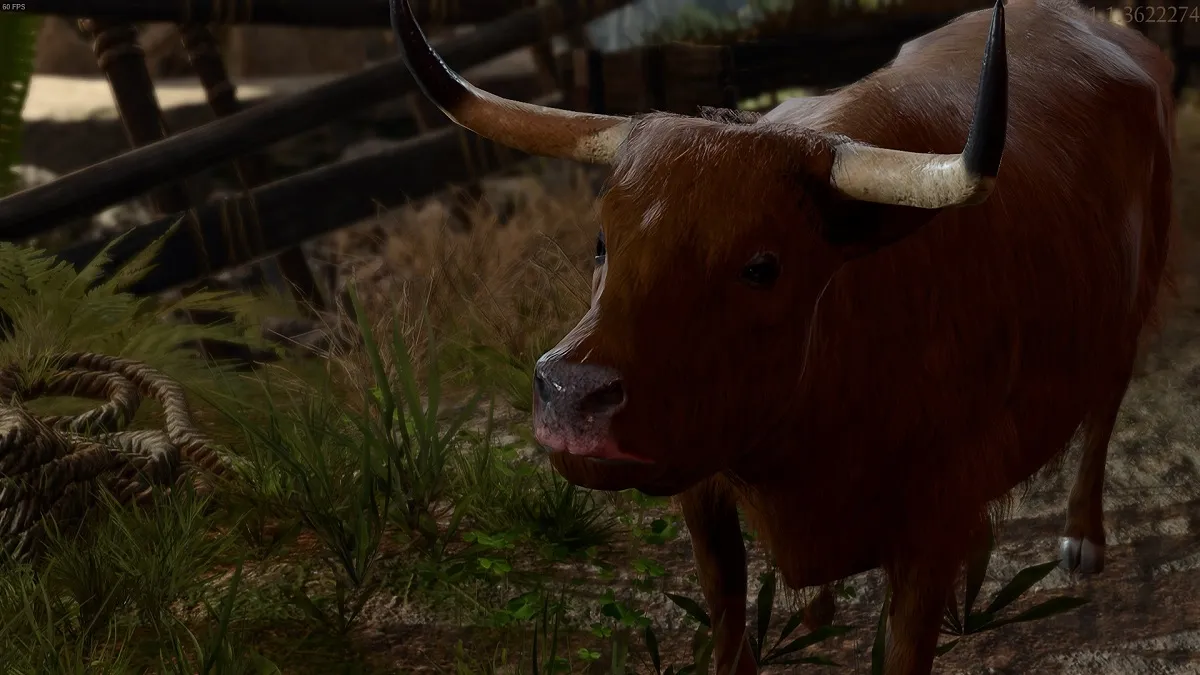 An image of an ox in a barn in Baldur's Gate 3.