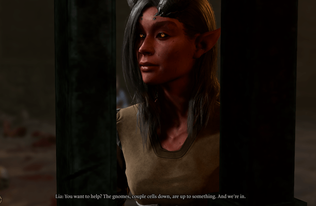 Image displays Lia discussing the Tiefling prison escape with the player in Baldur's Gate 3.