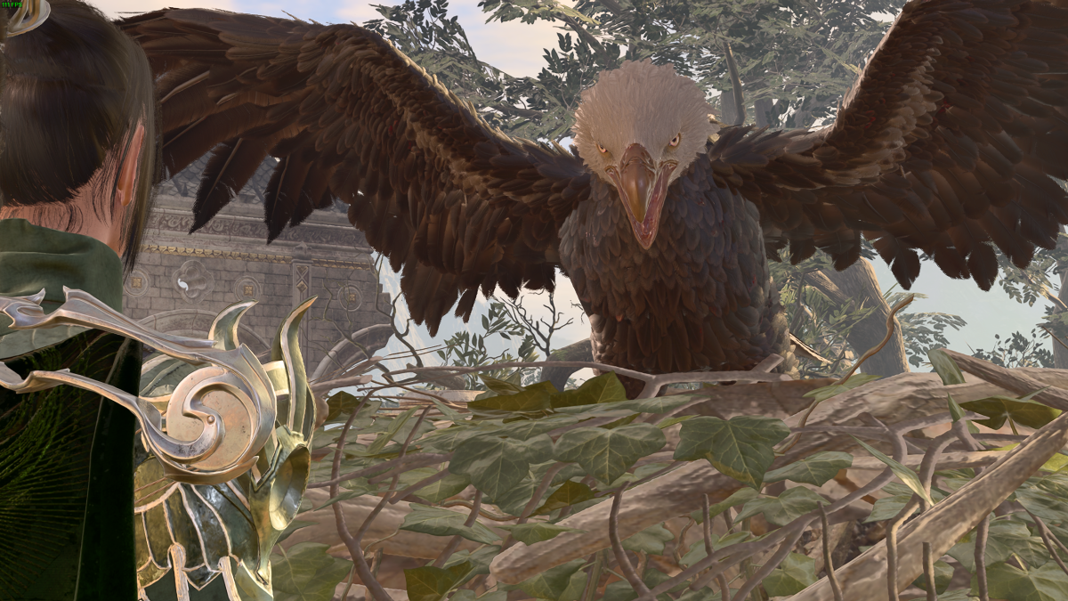 The Ancient Bald Eagle attacking our character in BG3