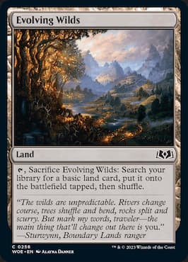 Image of woods in wilds through Evolving Wilds in WOE MTG set