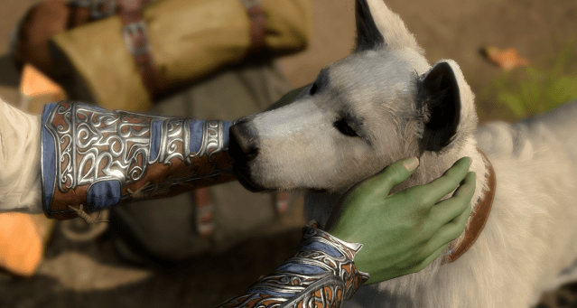 Image shows Scratch, a dog companion from Baldur's Gate 3, being petted by the player.