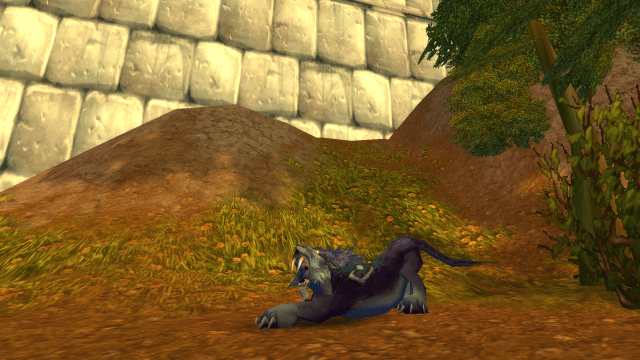 WoW Classic Druid stretching in Stormwind
