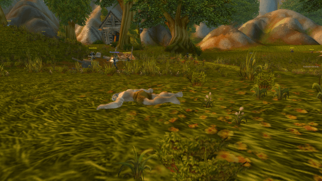 WoW character dead in Elwynn Forest