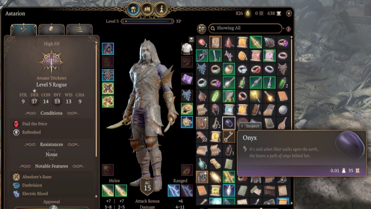 A character screen showing onyx and other items in character's bag in BG3