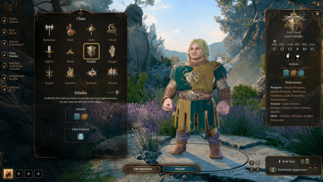 The Paladin class standing in the Baldur's Gate 3 character creator.