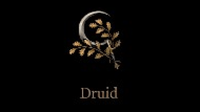 A Symbol for the Druid Class in Baldur's Gate 3.