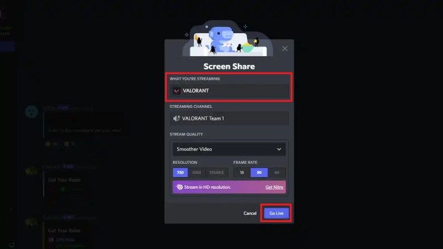 Discord's stream interface.