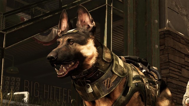 A dog from Call of Duty: Ghosts, wearing green tactical gear on the Strikezone map.