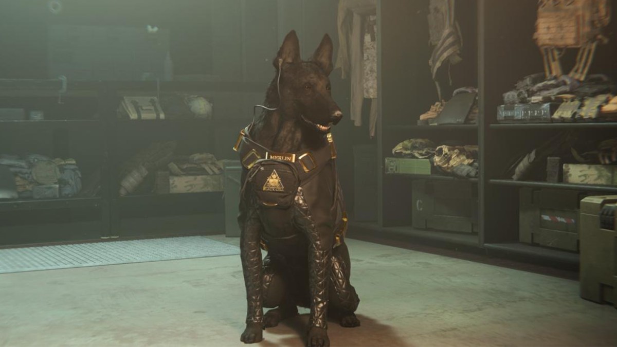 Warzone's Tactical Pet dog sitting on the floor, wearing black and gold tactical gear.