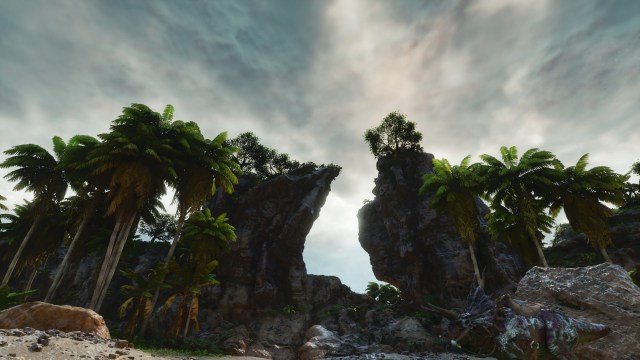 Trees surrounding a cliff in Ark: Survival Ascended.