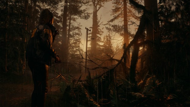 Alan Wake 2 will get two paid single player expansions in 2024; here are  the first details - Neowin