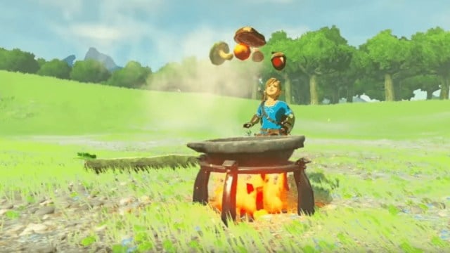 Link cooking in The Legend of Zelda: Breath of the Wild