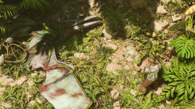 A character standing in a jungle next to an unconscious giant green Pteranodon in Ark: Survival Ascended.