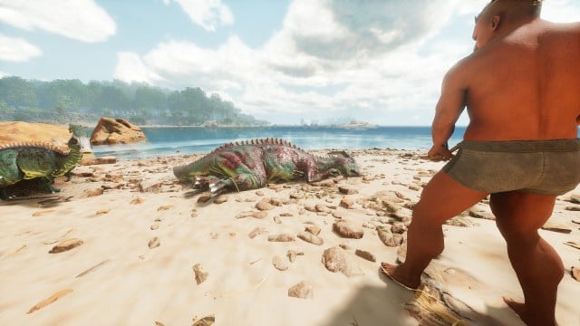 A Parasaur lays unconscious on a beach while a man stands nearby with berries in Ark: Survival Ascended.