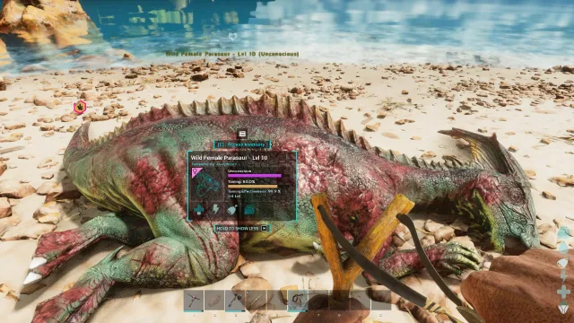 An unconscious Parasaur in Ark: Survival Ascended, with a HUD display showing the dino's taming and unconscious bars.