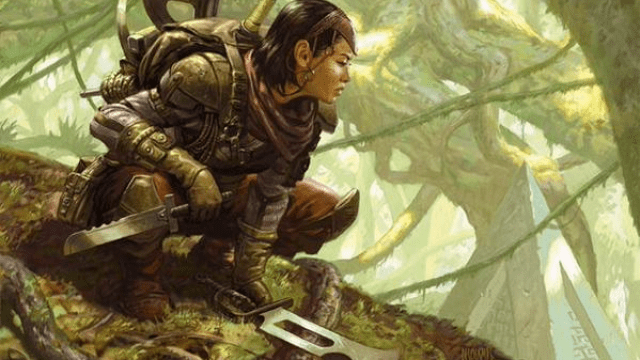A human in leather armors sits on a tree branch, waiting for their time to strike with two daggers in hand in MtG.