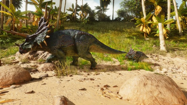 A baby Triceratops following its parent in Ark: Survival Ascended.