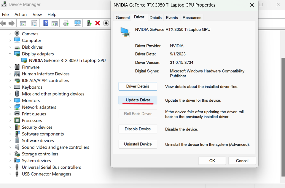 Screenshot of Display Adapters settings on Windows.