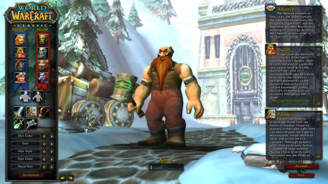 A Dwarf Paladin standing on the character creation screen