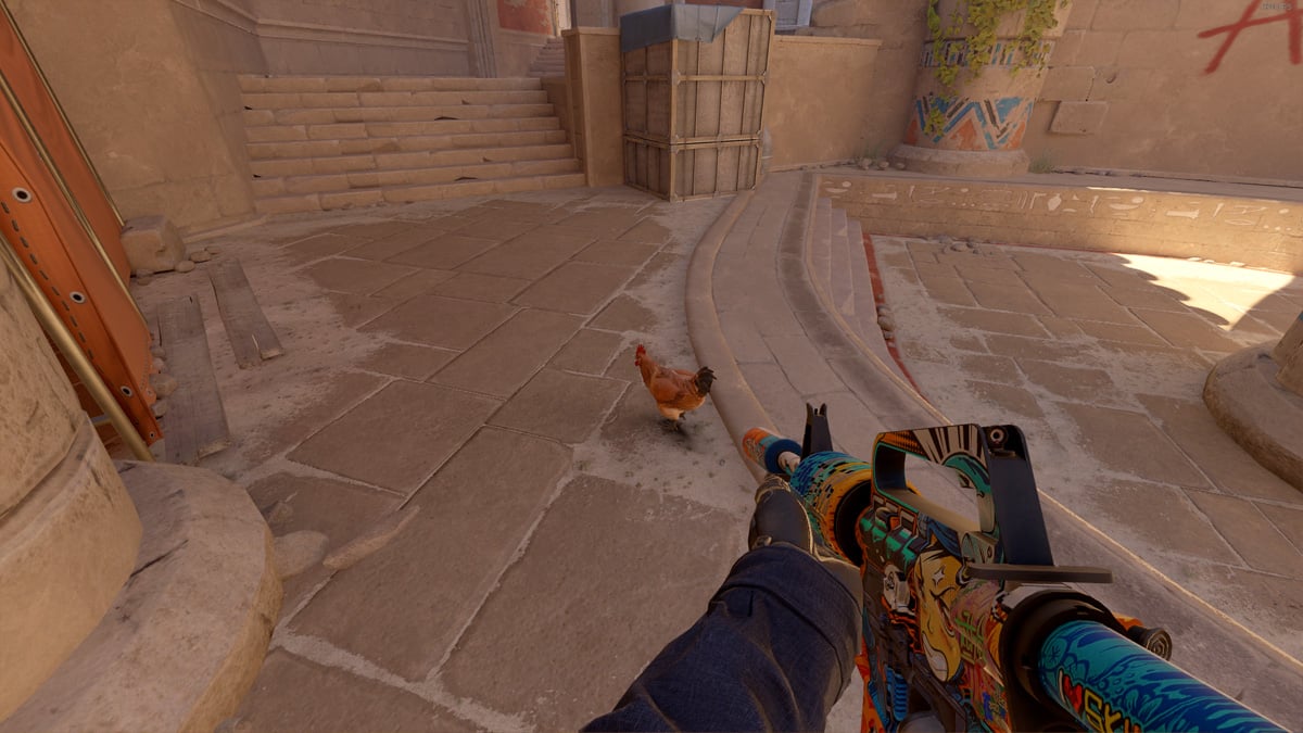 A player holds an M4A1-S and aims at a chicken on Anubis in CS2.