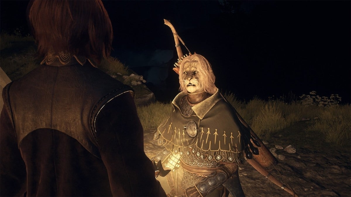 Dragon's Dogma 2 player character speaking with cat person pawn at campfire at night