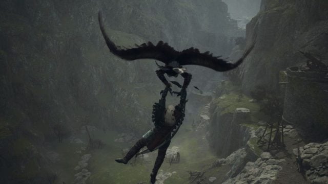 player gliding in dragon's dogma 2