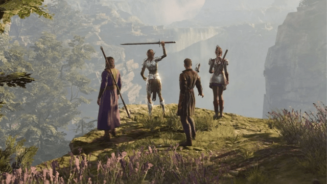 Baldur's Gate 3 companions stand on a cliff top