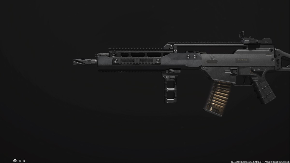 A screenshot of the Holger 556 AR in MW3.