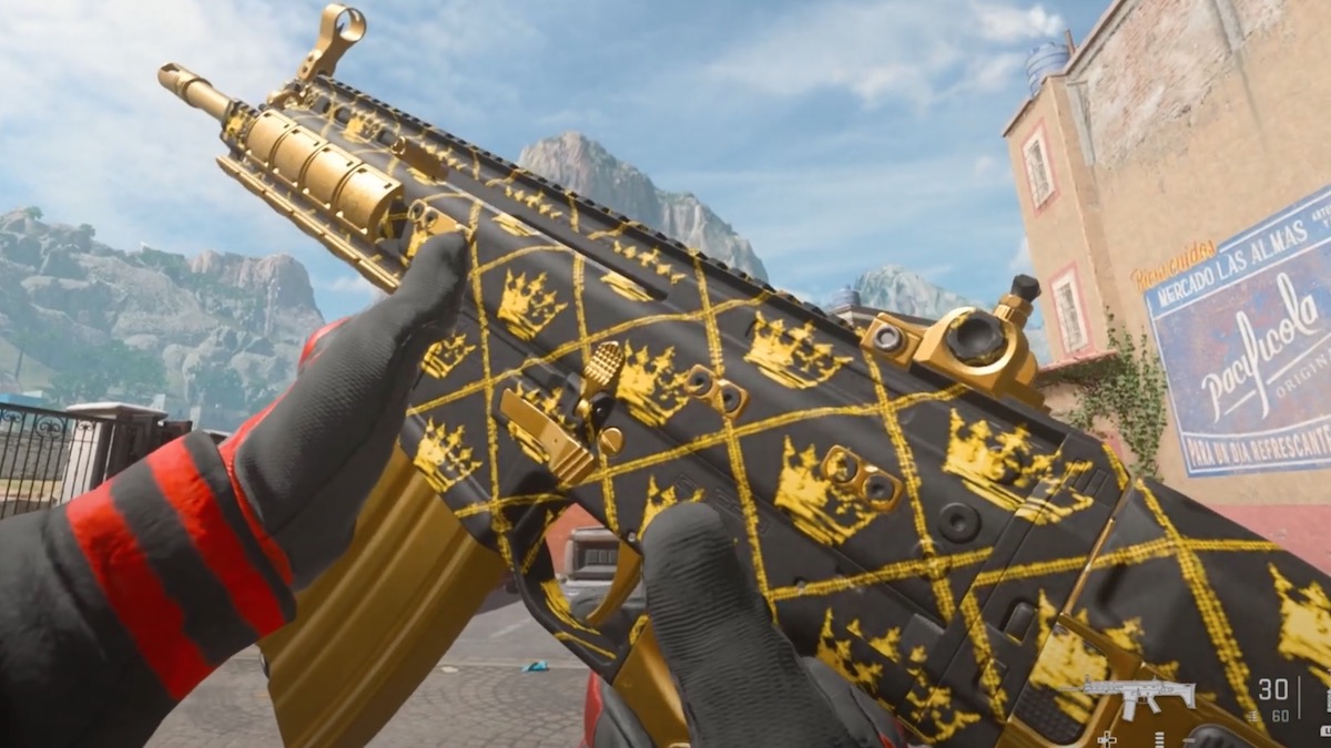 The You Dropped This Camo in MW3.