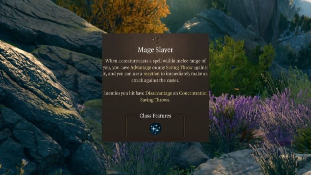 The description of the Mage Slayer Feat in BG3, on a grassy background.