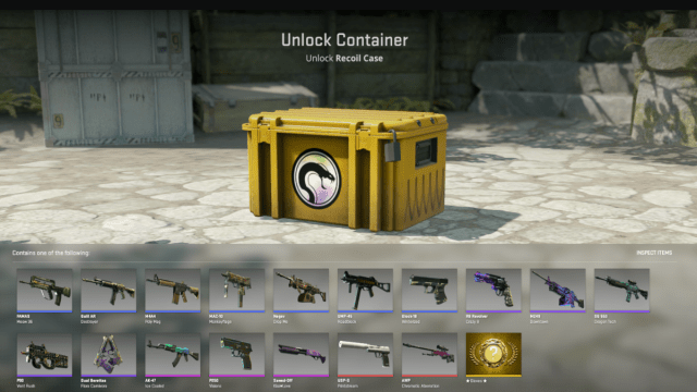 CS2 weapon case