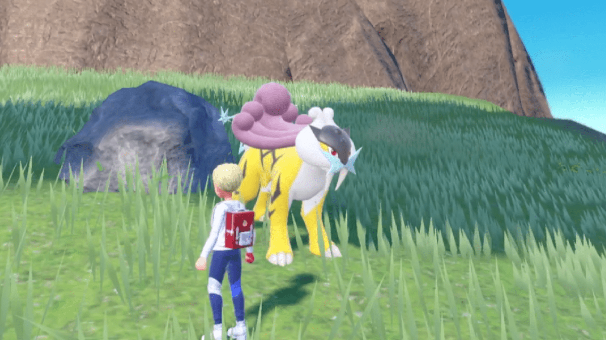 Raikou standing in the grass by a trainer