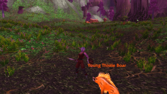 Image of an Elf Warrior in WoW SoD attacking a Boar.