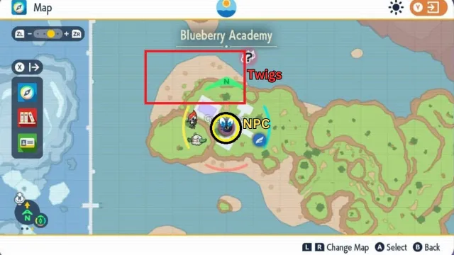 Screenshot of a map from Pokémon SV showing an in-game character near an NPC, with annotations indicating a location to collect Galarica Twigs, highlighted by a red square and a yellow circle.