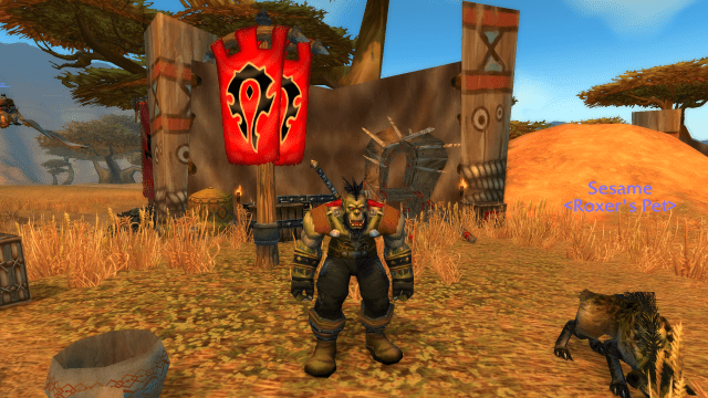 Image of an Orcish hunter standing beside a Horde banner.