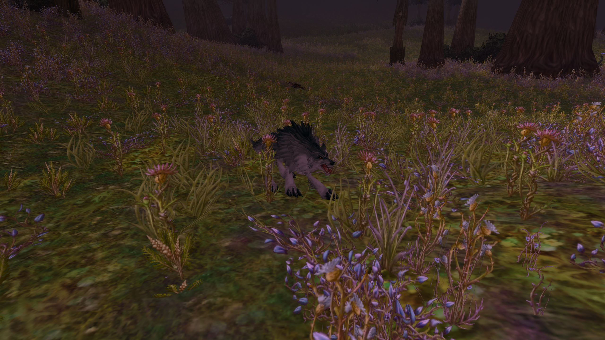 A Wolf in the forest in WoW Classic.