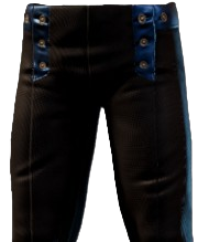 Dark leather trousers with three buttons on each side. These are the Magician Trousers from Enshrouded.