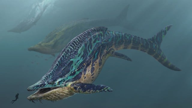 Concept art for the Shastasaurus in Ark: Survival Ascended