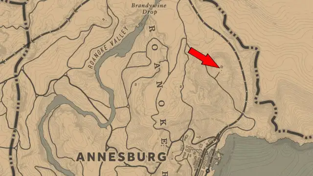 Where to find Torn Treasure Map Location 2 in Red Dead Redemption 2