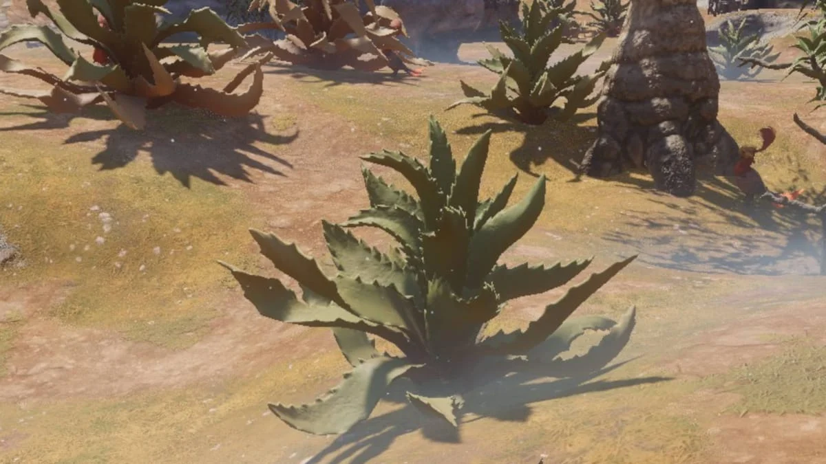 Image of Aloe in Enshrouded.