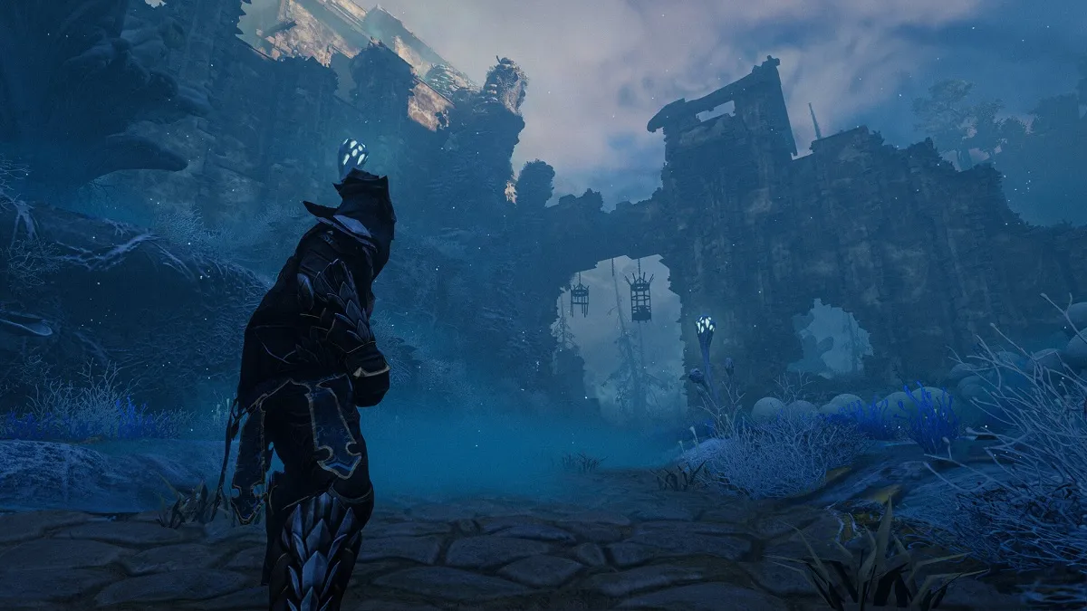 A dark valley in Enshrouded with a player standing in front of it.