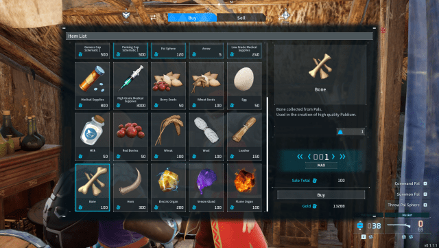 Screenshot showing Bones for sale by a Wandering Merchant
