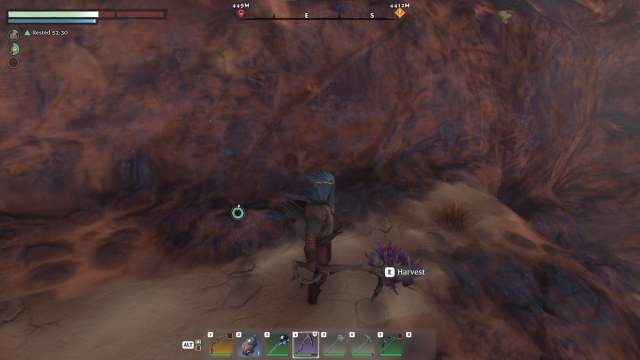 How to find Saffron in Enshrouded