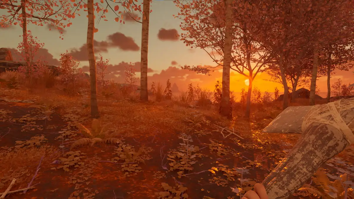 A sunset scene with trees in the foreground in Nightingale.